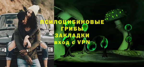 стаф Абинск