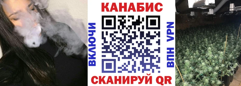 Каннабис планчик  kraken вход  Щёлково  купить  сайты 